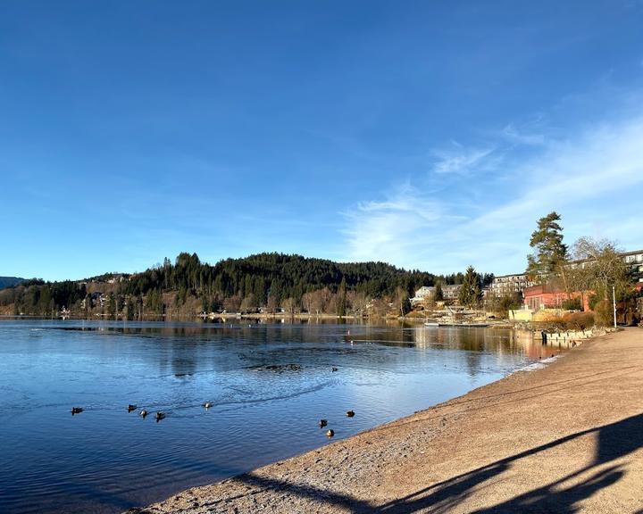 titisee